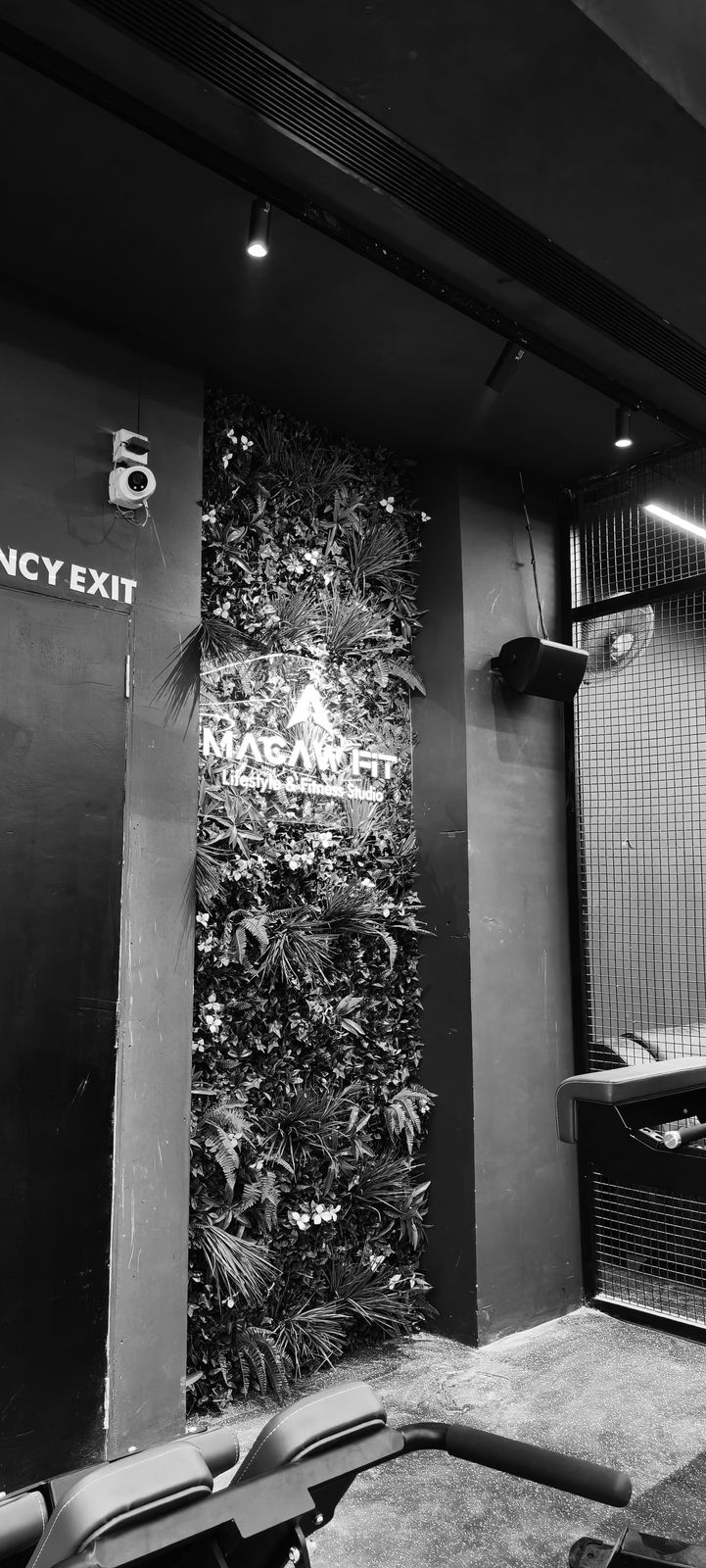 WhatsApp Image 2025-04-05 at 6.17.28 PM (2)