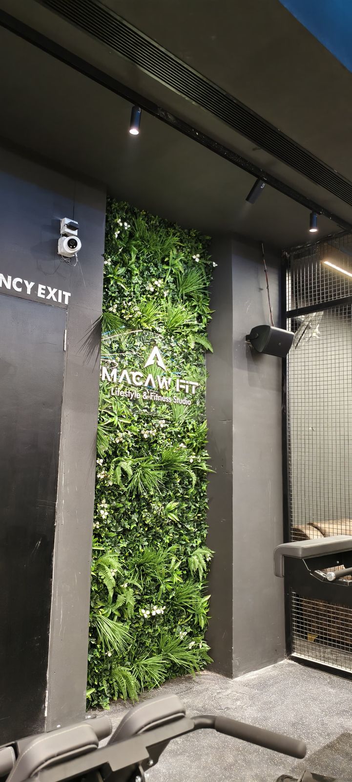 WhatsApp Image 2025-04-05 at 6.17.29 PM (1)