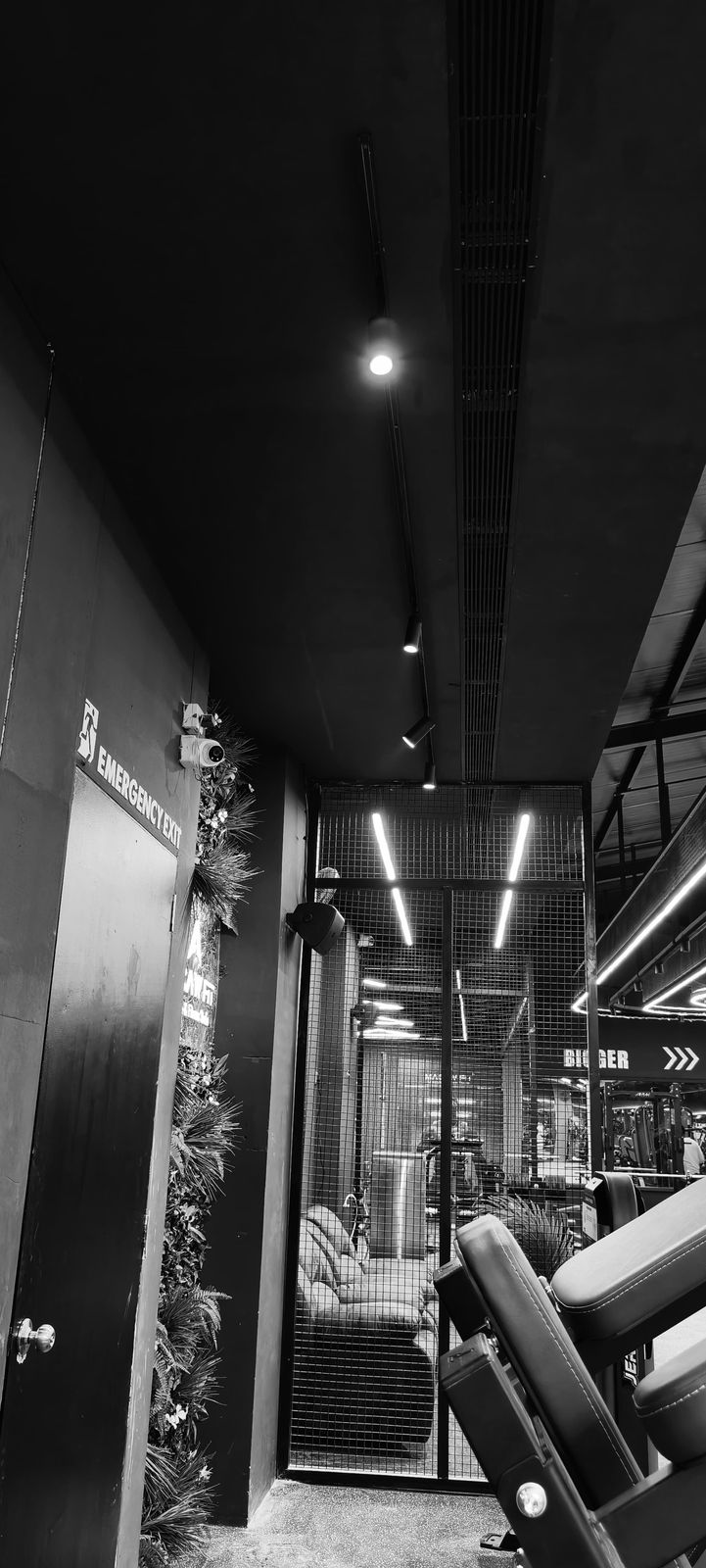 WhatsApp Image 2025-04-05 at 6.17.29 PM