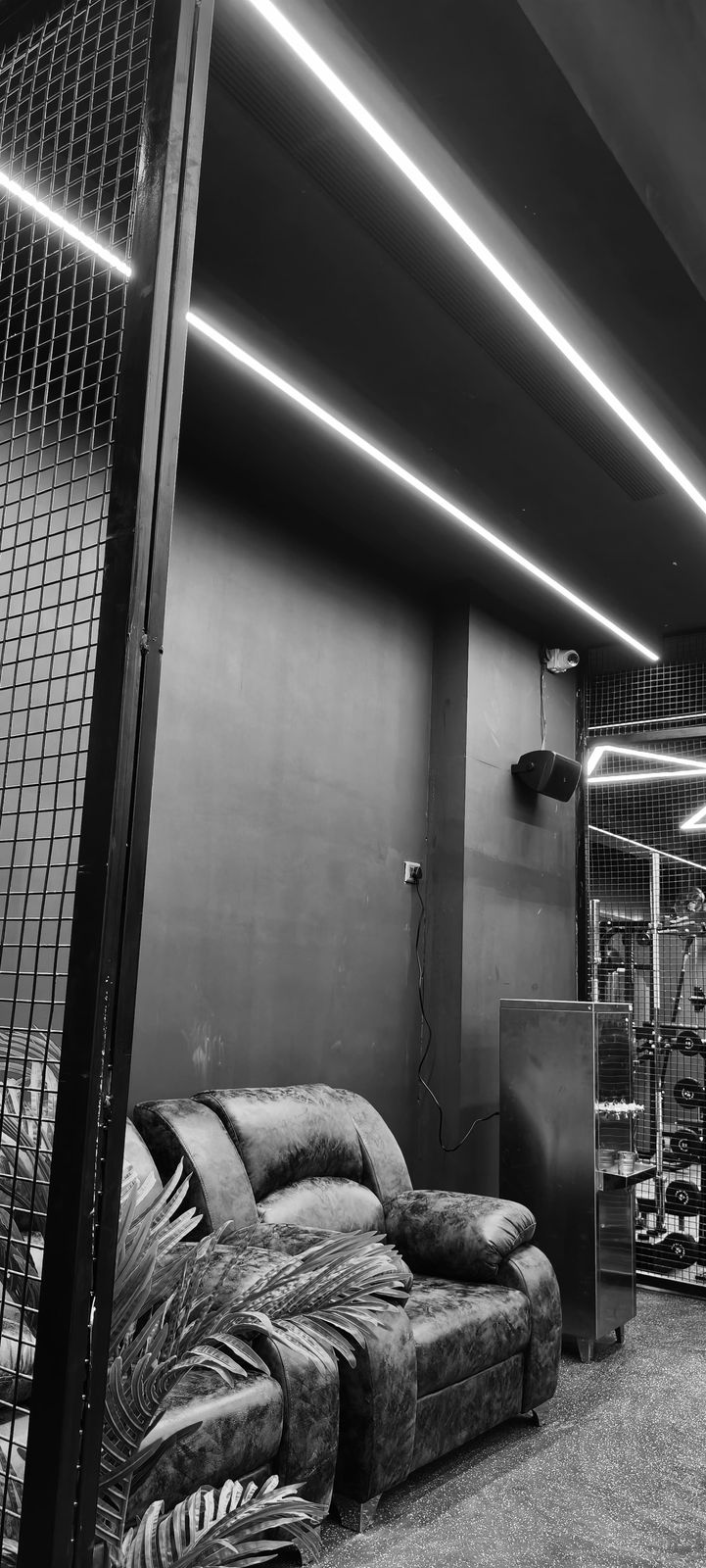 WhatsApp Image 2025-04-05 at 6.17.30 PM